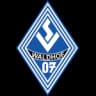 Waldhof Mannheim