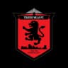 Toledo Villa logo