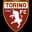 Torino U20