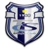 Toyama Shinjo logo