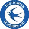 Trethomas Bluebirds logo