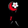 Turkey 1. Lig logo
