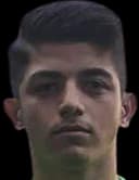 Şahin Dik