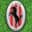 Angri Calcio