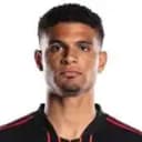 Miles Robinson