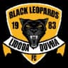 Black Leopards