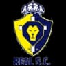 Real-RS
