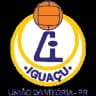 Iguaçu-PR logo