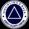 ASEEV logo