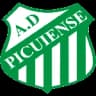 Picuiense logo