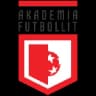 Akademia Futbollit U19 logo
