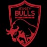 Jersey Bulls