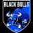 Black Bulls Maputo