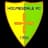 Holmesdale FC