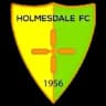 Holmesdale FC