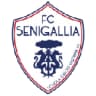 Vigor Senigallia