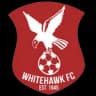 Whitehawk