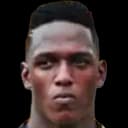 Yerry Mina