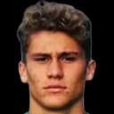 Stefano Piccinini