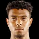Donyell Malen