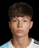 Esmir Bajraktarevic
